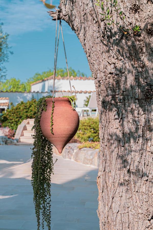 B&B Antico Ulivo Monopoli Bagian luar foto