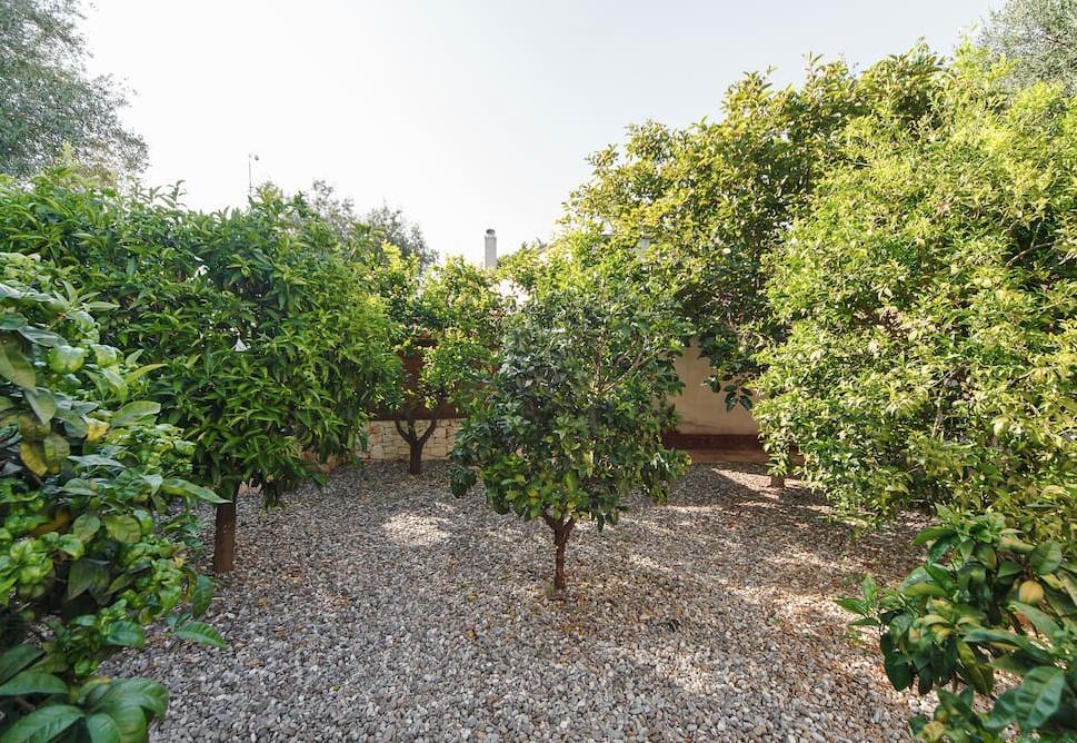 B&B Antico Ulivo Monopoli Bagian luar foto